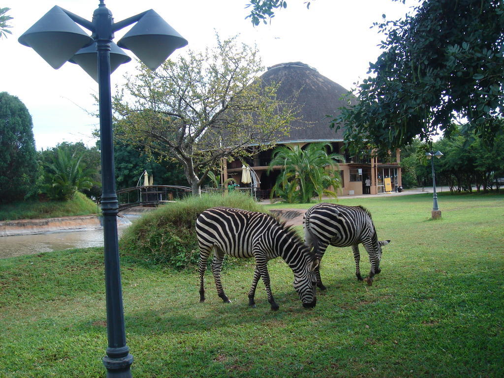Kaazmein Lodge Livingstone Luaran gambar